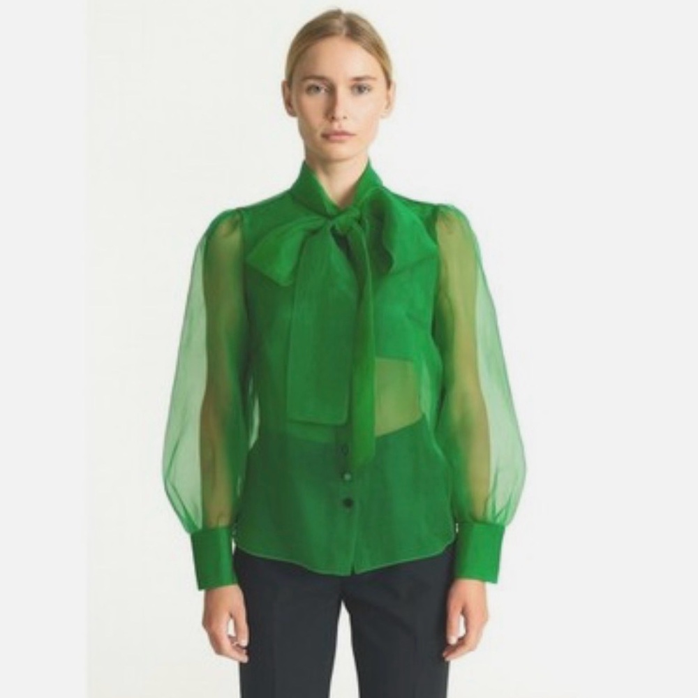 Zara | Green Organza Blouse